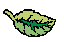 p_leaf03.gif